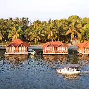 Romantic Kerala Honeymoon: 7 Days of Beaches, Backwaters, and Nature
