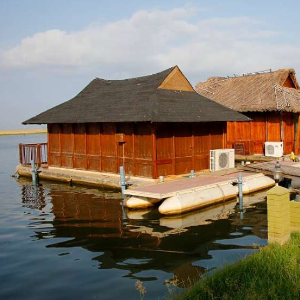 Romantic Kerala Honeymoon: 7 Days of Beaches, Backwaters, and Nature