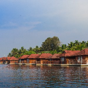Romantic Kerala Honeymoon: 7 Days of Beaches, Backwaters, and Nature