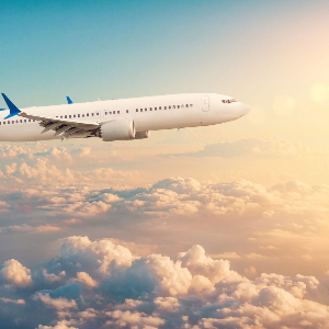 Romantic Kerala Honeymoon: 7 Days of Beaches, Backwaters, and Nature