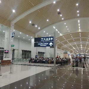 Romantic Kerala Honeymoon: 7 Days of Beaches, Backwaters, and Nature