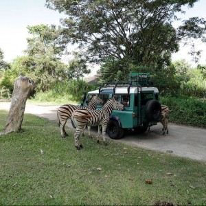 Romantic Packages Bali: Fall in Love, Island Style