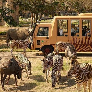 Romantic Packages Bali: Fall in Love, Island Style