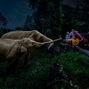 Singapore 4 Nights 5 Days Package: A Complete Singapore Getaway