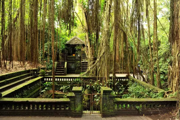 Singapore Bali Honeymoon Package: The Perfect Pair — photo 4