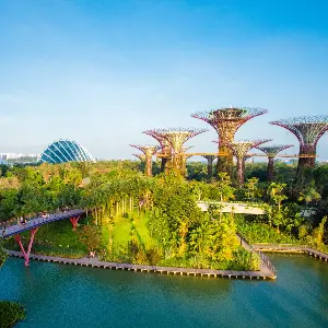 Singapore Bali Honeymoon Package: From City Lights to Island Nights