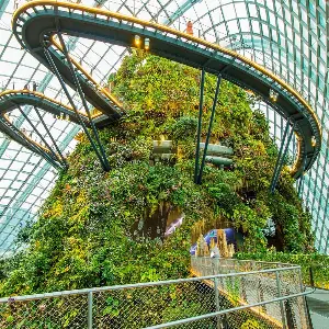 Singapore Bali Honeymoon Package: From City Lights to Island Nights