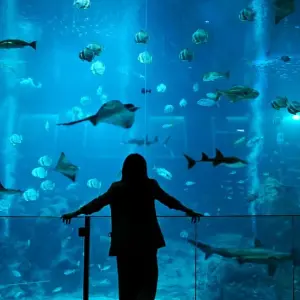 Singapore Bali Honeymoon Package: From City Lights to Island Nights