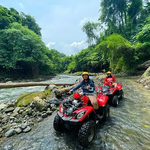 Singapore Bali Honeymoon Package: From City Lights to Island Nights