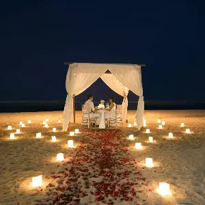 Singapore Bali Honeymoon Package: From City Lights to Island Nights