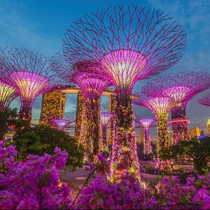 Singapore Honeymoon tour package 05 Nights/ 06 Days