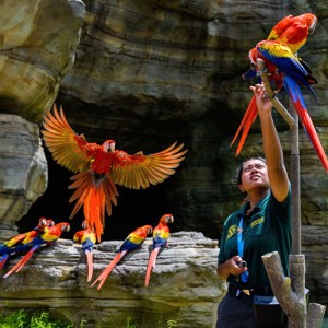 Singapore Honeymoon Trip: A City for Lovers