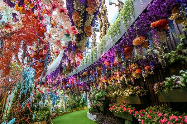 Singapore Tours for Couple: 8-Day Honeymoon Itinerary — photo 3