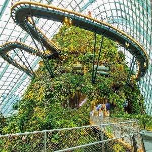 Singapore Tours for Couple: 8-Day Honeymoon Itinerary