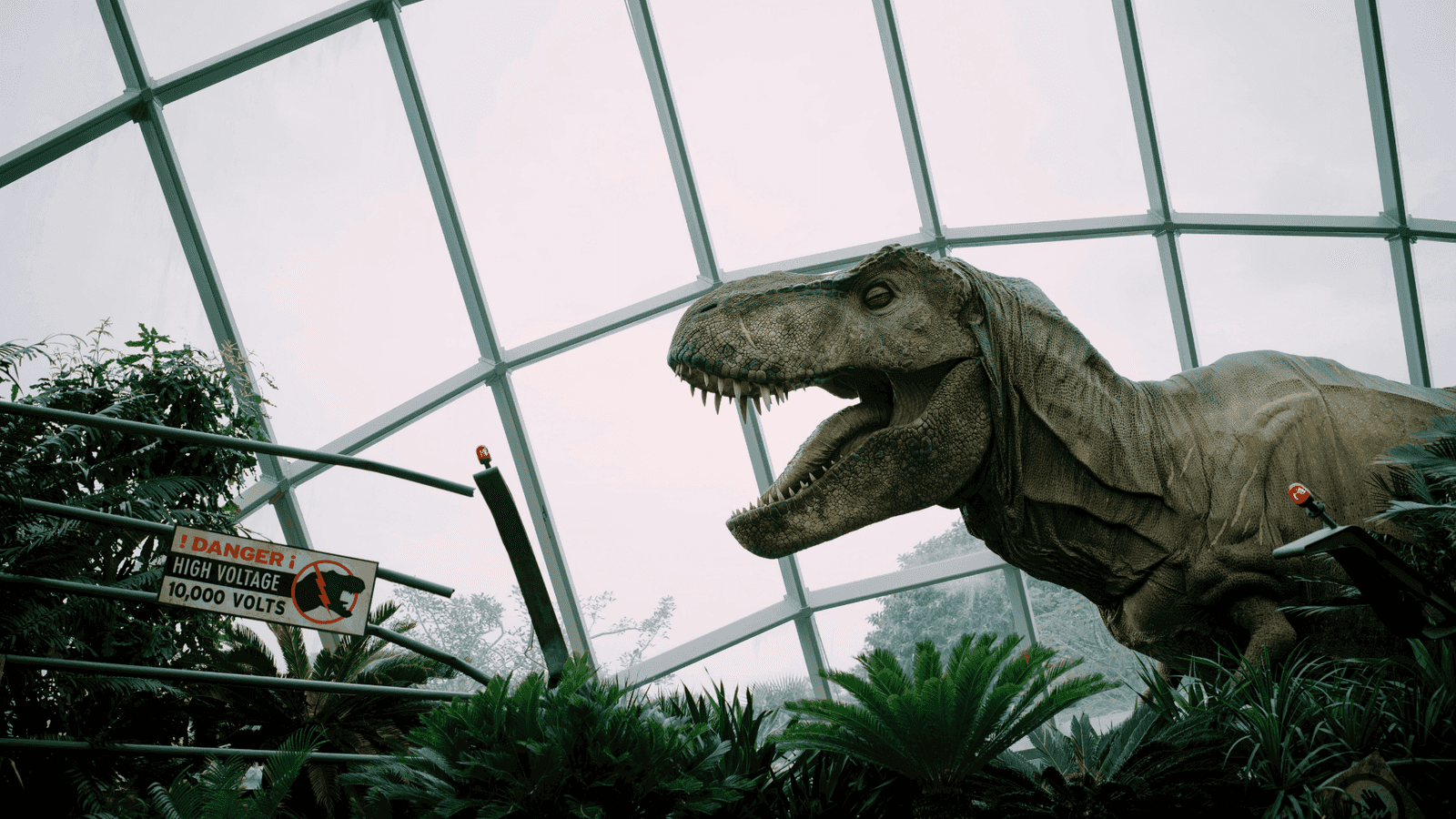 Singapore Trip Package – Sentosa, Universal & Night Safari Highlights