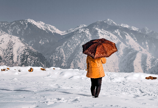 Six Days in Paradise: Jammu & Kashmir Package