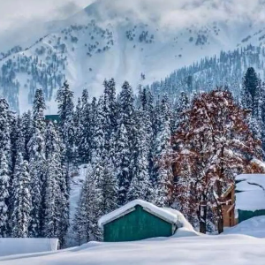 Six Days in Paradise: Jammu & Kashmir Package