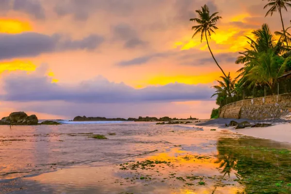 Sri Lanka 4 Nights 5 Days Family Tour Package: Island Family Escape — photo 1