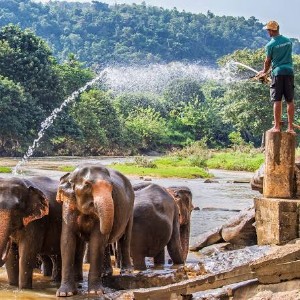 Sri Lanka 4 Nights 5 Days Family Tour Package: Island Family Escape