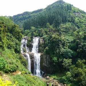 Sri Lanka 4 Nights 5 Days Family Tour Package: Island Family Escape