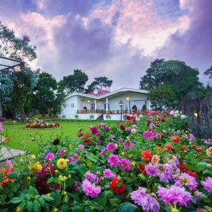 Sri Lanka 4 Nights 5 Days Family Tour Package: Island Family Escape