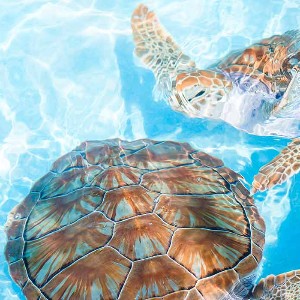 Sri Lanka 4 Nights 5 Days Family Tour Package: Island Family Escape