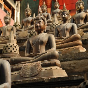 Sri Lanka 4 Nights 5 Days Family Tour Package: Island Family Escape