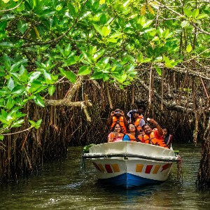 Sri Lanka 4 Nights 5 Days Family Tour Package: Island Family Escape