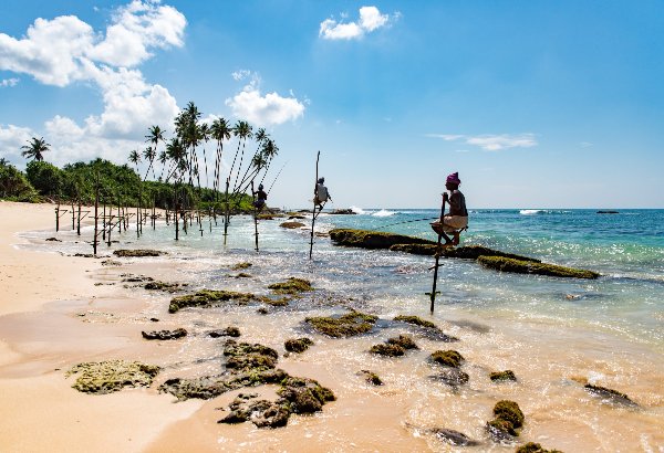 Sri Lanka 6-Day Itinerary: Heritage & Coastal Escape