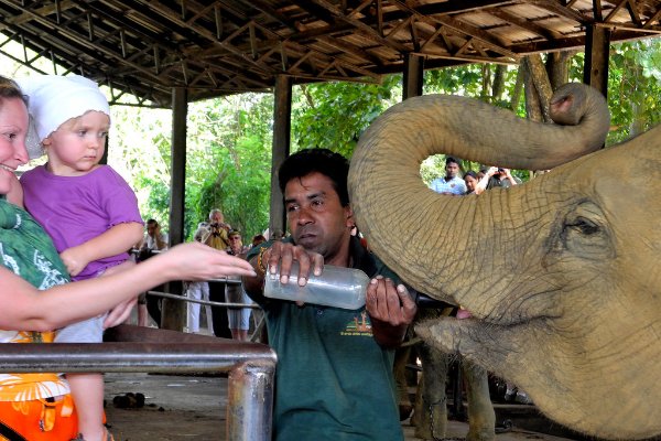 Sri Lanka 6-Day Itinerary: Heritage & Coastal Escape — photo 4