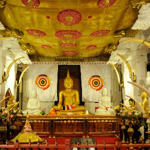 Sri Lanka 6-Day Itinerary: Heritage & Coastal Escape