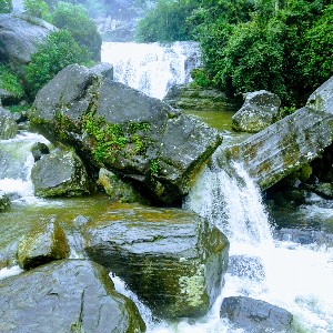 Sri Lanka 6-Day Itinerary: Heritage & Coastal Escape