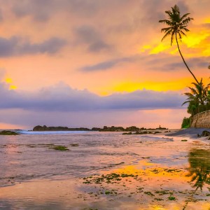 Sri Lanka 6-Day Itinerary: Heritage & Coastal Escape