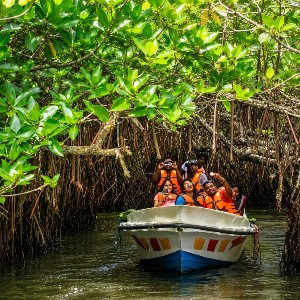 Sri Lanka 6-Day Itinerary: Heritage & Coastal Escape