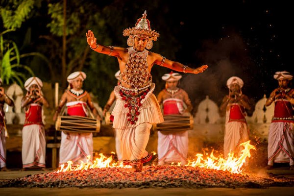 Sri Lanka Family Holiday Package: A Week of Island Wonders — photo 2