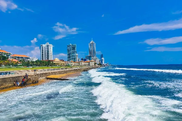 Sri Lanka Family Holiday Package: A Week of Island Wonders — photo 3