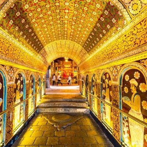 Sri Lanka Family Holiday Package: A Week of Island Wonders