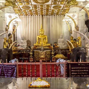 Sri Lanka Family Holiday Package: A Week of Island Wonders