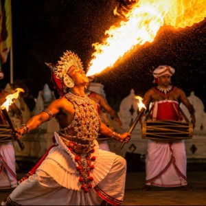 Sri Lanka Family Holiday Package: A Week of Island Wonders