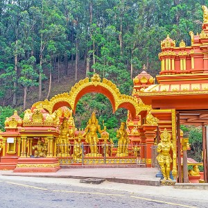 Sri Lanka Family Holiday Package: A Week of Island Wonders