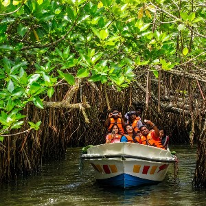 Sri Lanka Family Holiday Package: A Week of Island Wonders
