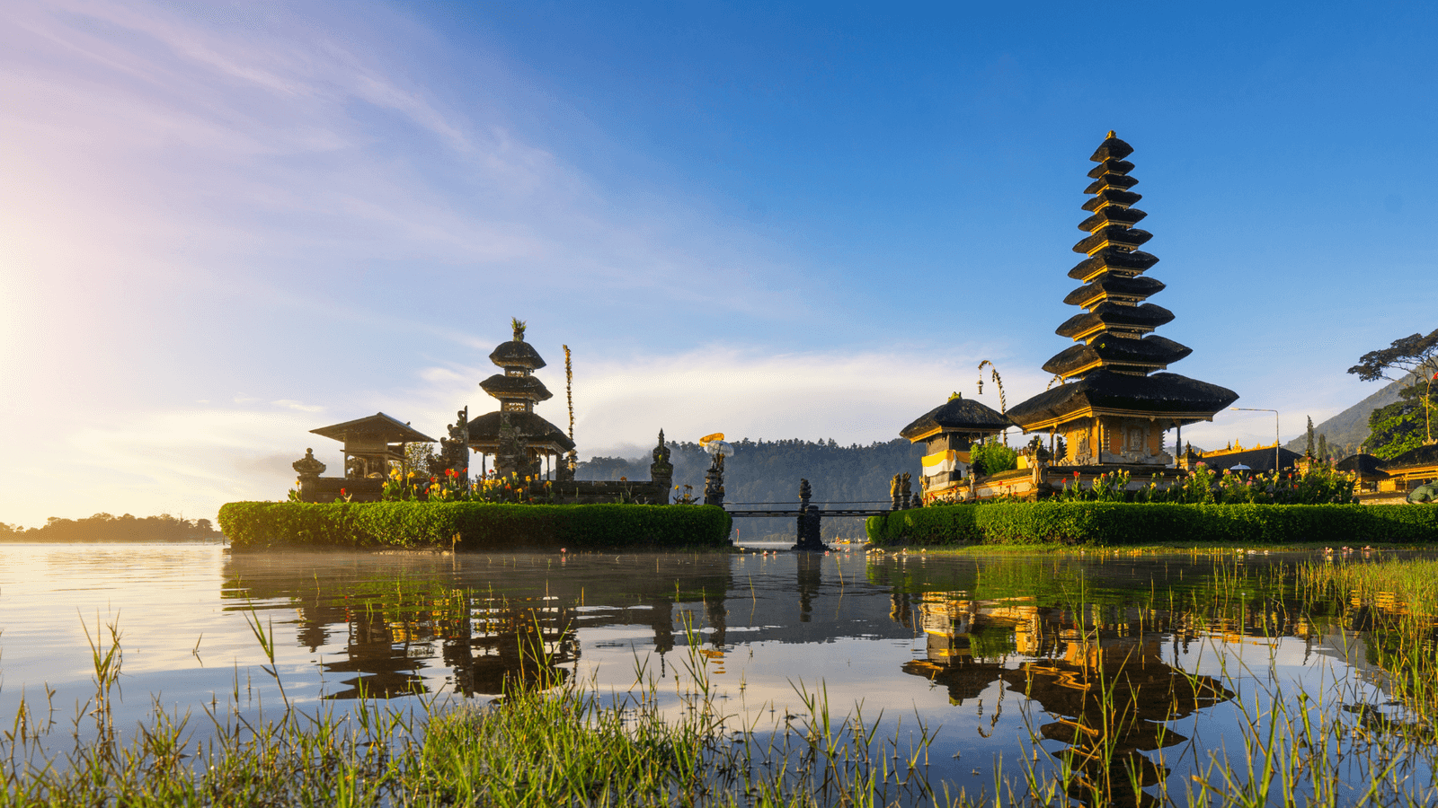 Sri Lanka Family Tour: Island of Timeless Wonders