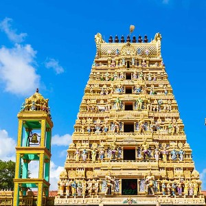 Sri Lanka Family Tour: Island of Timeless Wonders