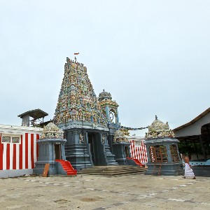 Sri Lanka Family Tour: Island of Timeless Wonders
