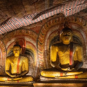 Sri Lanka Family Tour: Island of Timeless Wonders