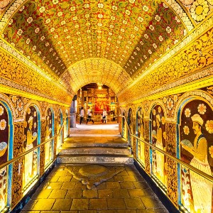 Sri Lanka Family Tour: Island of Timeless Wonders