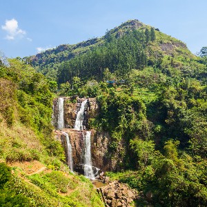Sri Lanka Family Tour: Island of Timeless Wonders