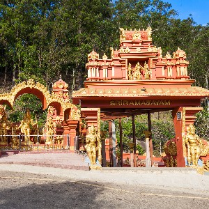 Sri Lanka Family Tour: Island of Timeless Wonders