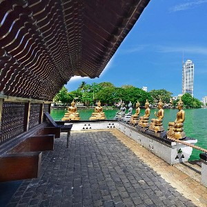 Sri Lanka Family Tour: Island of Timeless Wonders