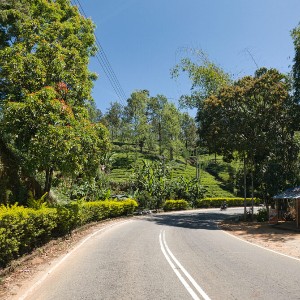Sri Lanka Family Tour: Island of Timeless Wonders
